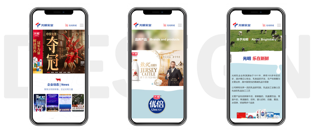 手機(jī)網(wǎng)站效果