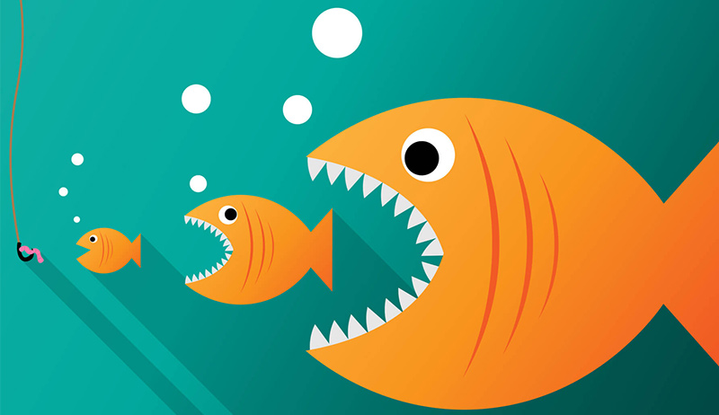 關鍵字蠶食如何影響我的SEO策略